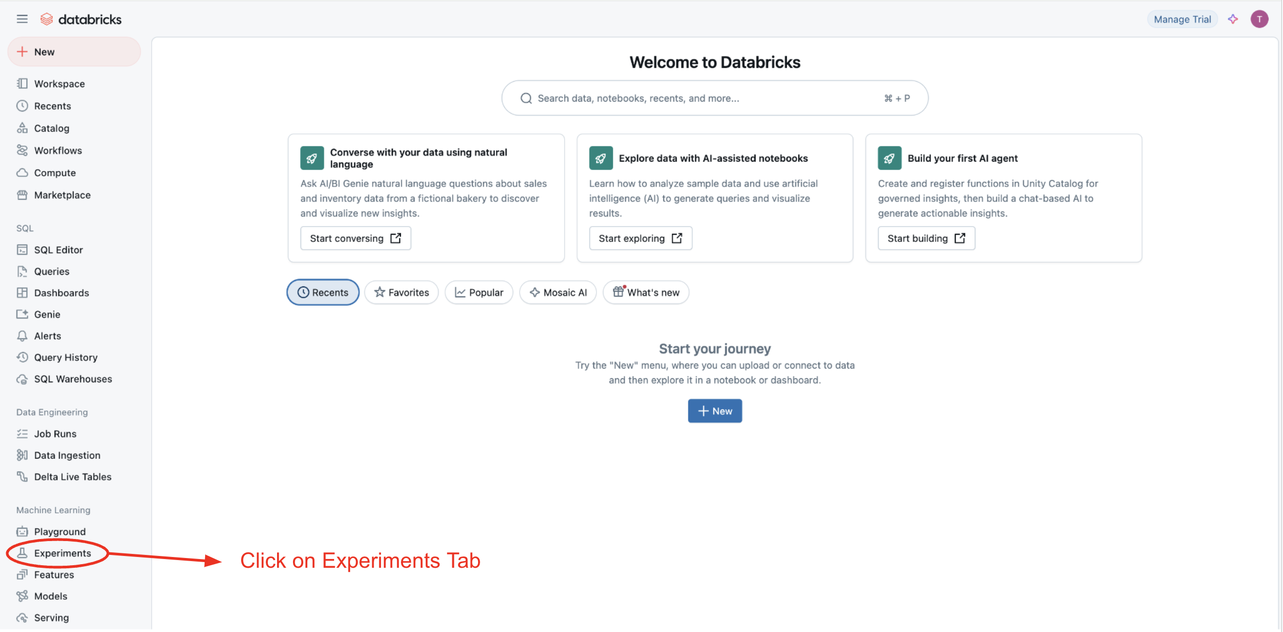 Landing page of Databricks MLflow server