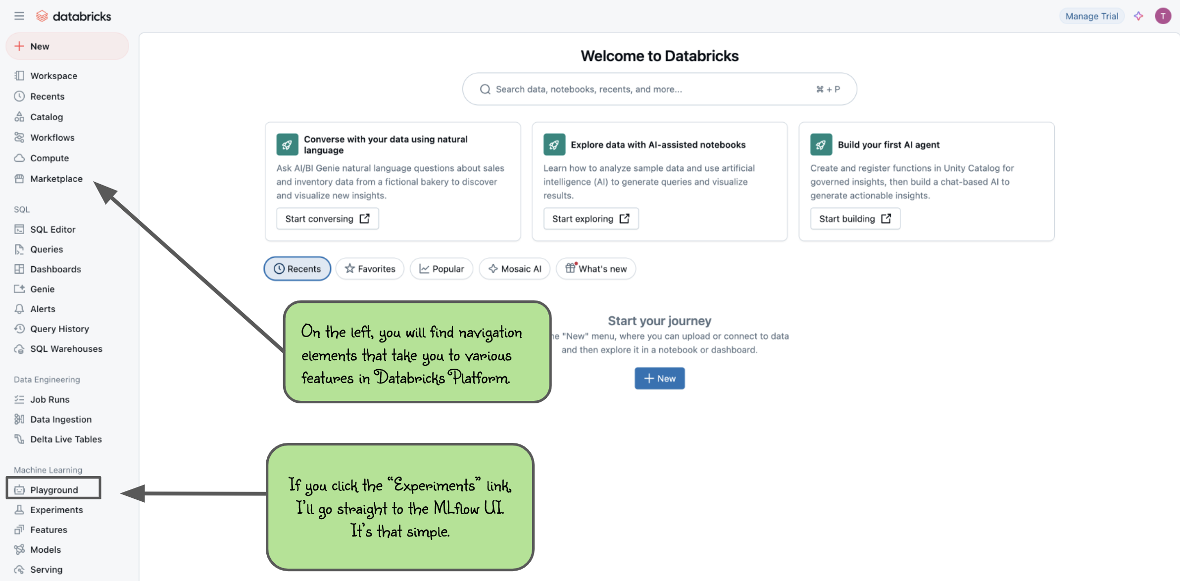 Databricks Trial Landing Page
