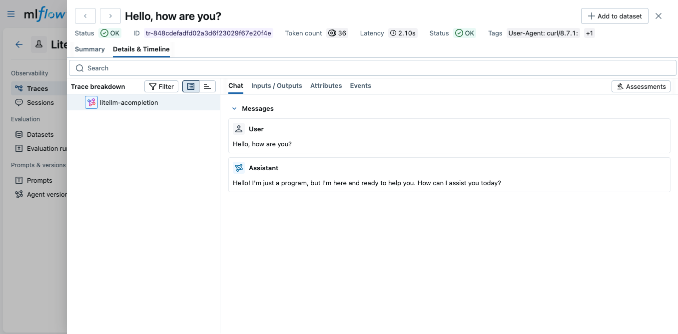 LiteLLM Proxy Tracing